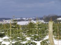 P1290030.JPG - 2005:01:29 12:49:04