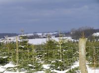 P1290031.JPG - 2005:01:29 12:49:05