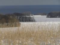 P1290032.JPG - 2005:01:29 12:49:17