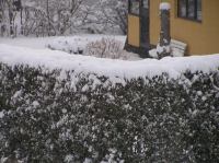 P3010002.JPG - 2005:03:01 16:51:10