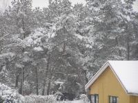 P3010003.JPG - 2005:03:01 16:51:18