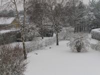 P3010004.JPG - 2005:03:01 16:51:34