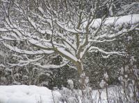 P3010013.JPG - 2005:03:01 16:52:51