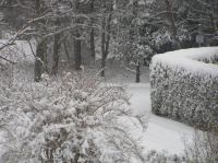 P3010014.JPG - 2005:03:01 16:52:55