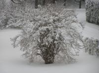 P3010015.JPG - 2005:03:01 16:53:00