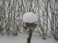 P3010016.JPG - 2005:03:01 16:53:10