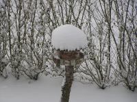 P3010017.JPG - 2005:03:01 16:53:15