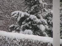 P3010018.JPG - 2005:03:01 16:53:27