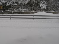 P3020003.JPG - 2005:03:02 16:11:12