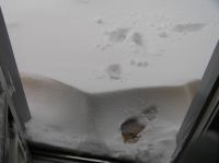 P3020004.JPG - 2005:03:02 16:11:16