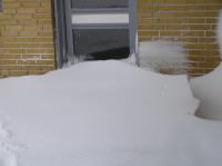 P3020006.JPG - 2005:03:02 16:11:27