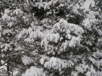 P3020008.JPG - 2005:03:02 16:11:38