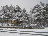 P3020009.JPG - 2005:03:02 16:11:43