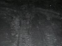 P3020019.JPG - 2005:03:02 21:06:53