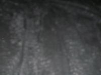 P3020020.JPG - 2005:03:02 21:07:00