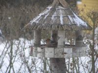 P3130002.JPG - 2005:03:13 07:38:41