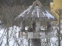 P3130003.JPG - 2005:03:13 07:38:51