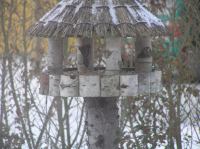 P3130006.JPG - 2005:03:13 07:39:32