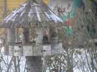 P3130007.JPG - 2005:03:13 07:40:56