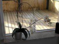 P3130021.JPG - 2005:03:13 08:24:33