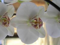 P3130028.JPG - 2005:03:13 08:26:03