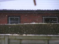 P3130037.JPG - 2005:03:13 08:27:24