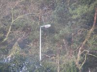 P3130038.JPG - 2005:03:13 08:27:37