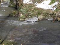 P3200055.JPG - 2005:03:20 14:39:38