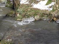 P3200056.JPG - 2005:03:20 14:39:47