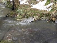 P3200057.JPG - 2005:03:20 14:39:48