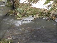 P3200058.JPG - 2005:03:20 14:39:48