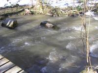 P3200059.JPG - 2005:03:20 14:40:00