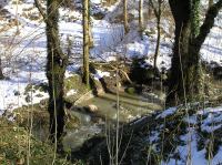 P3200063.JPG - 2005:03:20 14:42:28