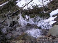 P3200069.JPG - 2005:03:20 14:44:56