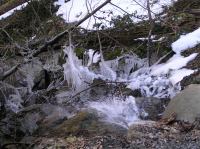 P3200070.JPG - 2005:03:20 14:44:57