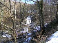 P3200079.JPG - 2005:03:20 14:48:08