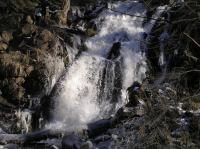 P3200083.JPG - 2005:03:20 14:50:44