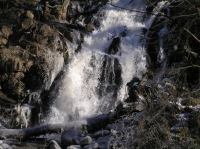 P3200084.JPG - 2005:03:20 14:50:45