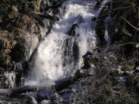 P3200085.JPG - 2005:03:20 14:50:49