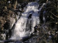 P3200086.JPG - 2005:03:20 14:50:55