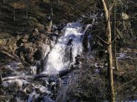 P3200087.JPG - 2005:03:20 14:51:01