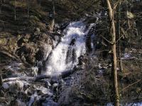 P3200088.JPG - 2005:03:20 14:51:01