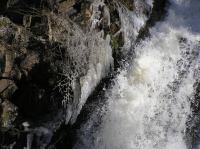 P3200103.JPG - 2005:03:20 14:54:05