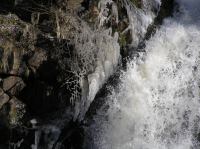 P3200104.JPG - 2005:03:20 14:54:05