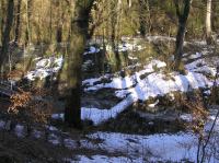 P3200105.JPG - 2005:03:20 14:54:34