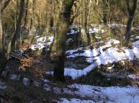 P3200107.JPG - 2005:03:20 14:54:35