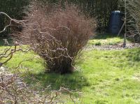 P3280035.JPG - 2005:03:28 13:20:51