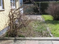 P3280036.JPG - 2005:03:28 13:21:01