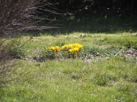 P3280037.JPG - 2005:03:28 13:21:09