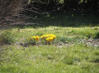 P3280038.JPG - 2005:03:28 13:21:15